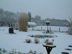 Snowy Longfield 230308