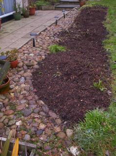 Border2 cleared & mulched