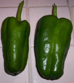 First two peppers