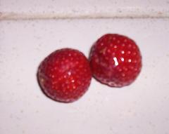 Ripe strawberries in November!